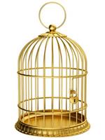 pixwords Français CAGE