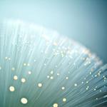 pixwords Français FIBRE OPTIQUE