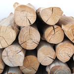 pixwords Français BOIS
